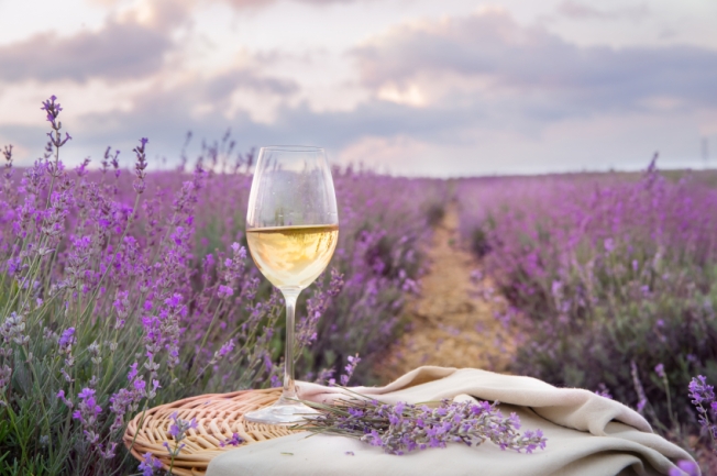 Bottle of wine against lavender.